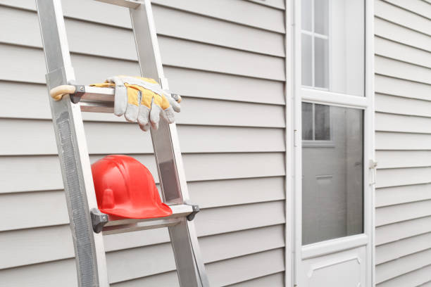 Best Hoarding Cleanup  in Wells, NV