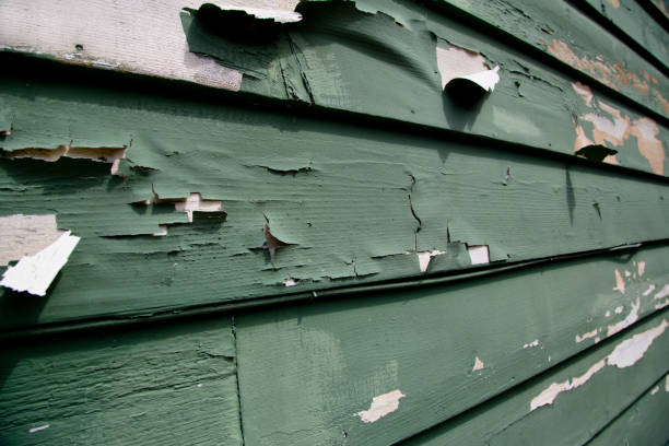 Property Management Cleanouts in Wells, NV