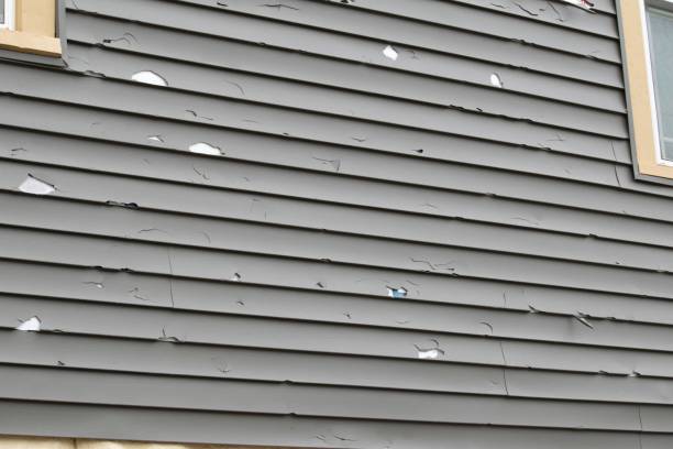 Best Dumpster Rental Services  in Wells, NV